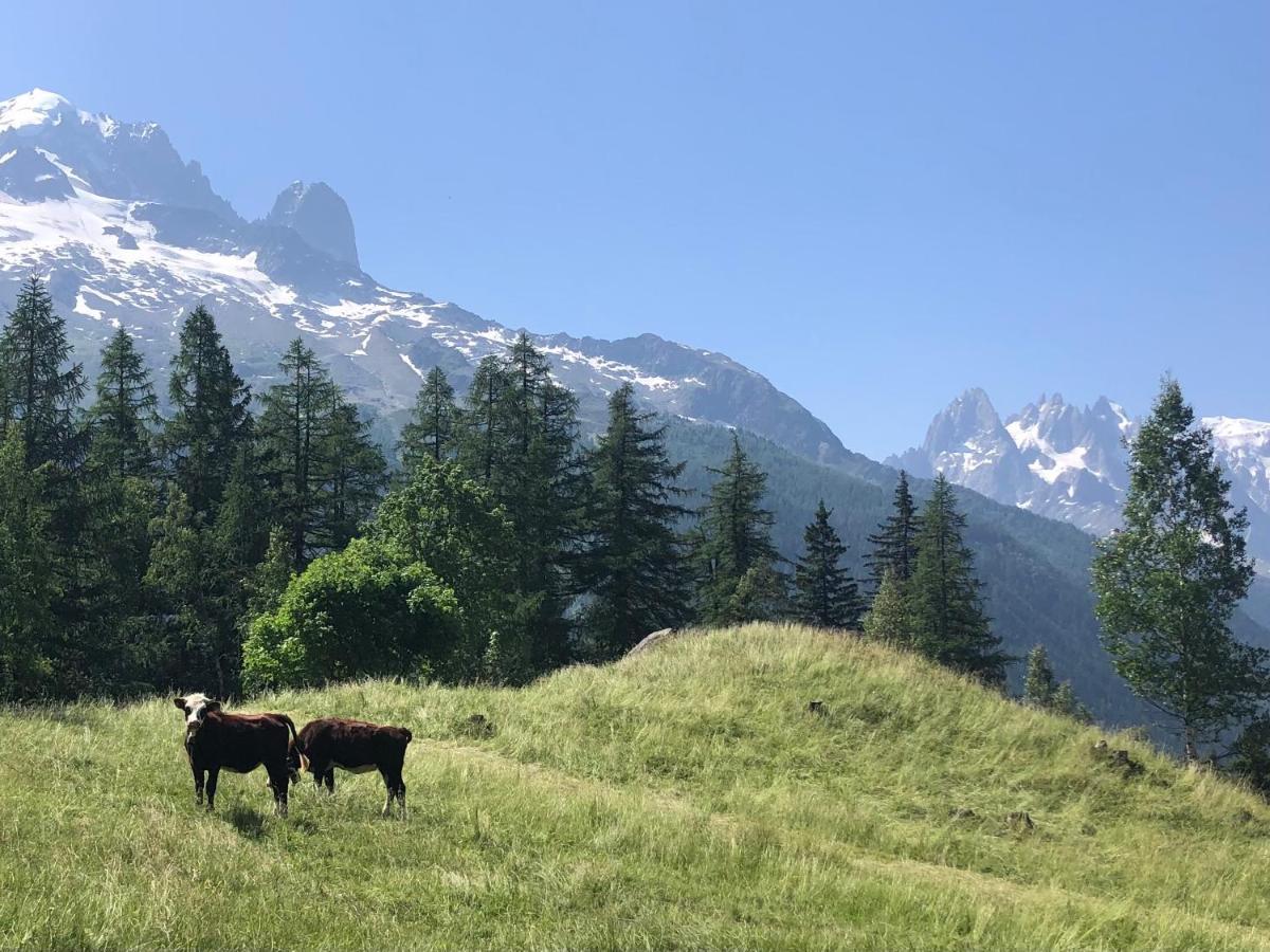 Appartement Arolles Chamonix ภายนอก รูปภาพ